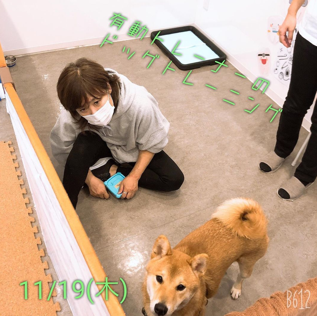 トレーニング トレーニング