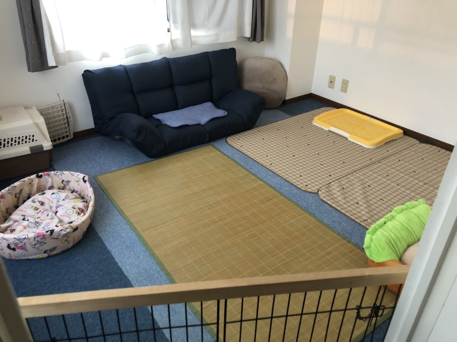 犬用部屋のイメージ