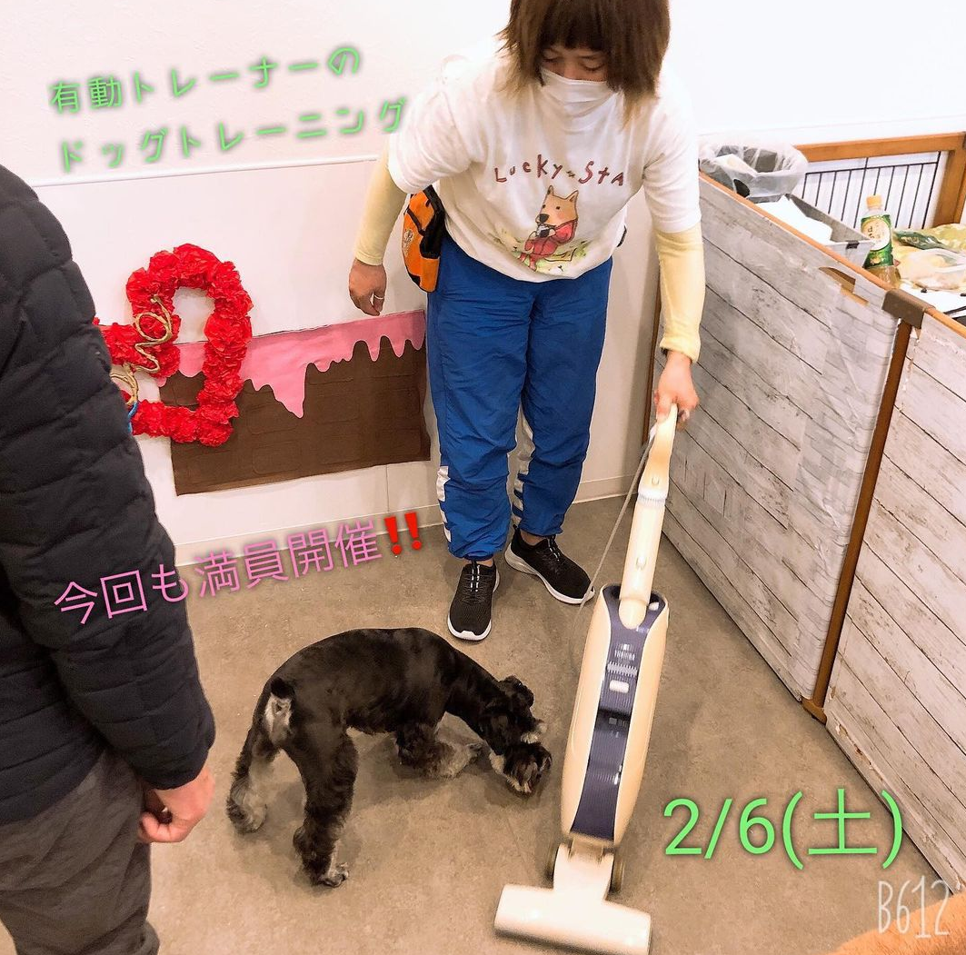 【2/6㈯】ドッグトレーニング開催