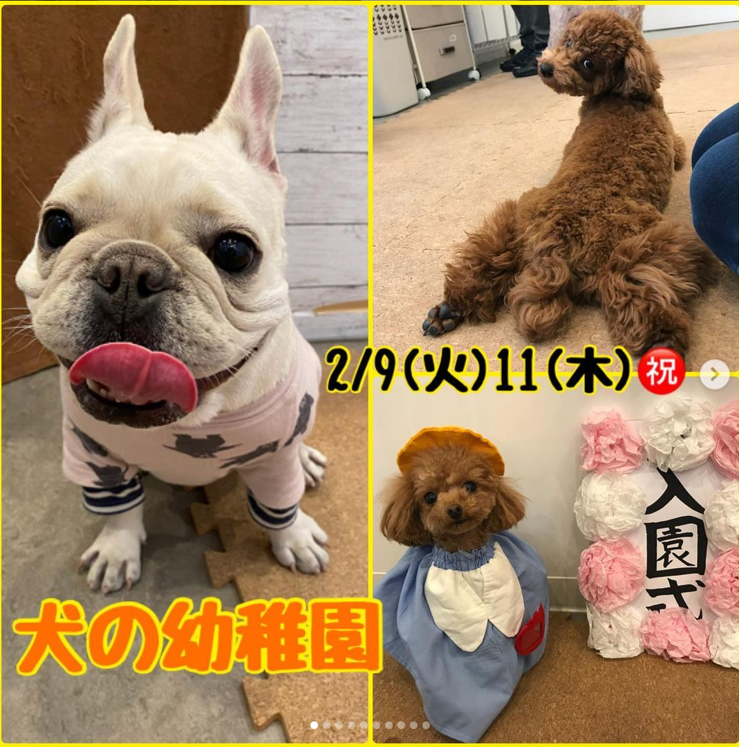 【2/9㈫11㈭祝】犬の幼稚園 開催