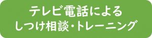 テレビ電話によるしつけ相談＆トレーニング＿予約フォーム