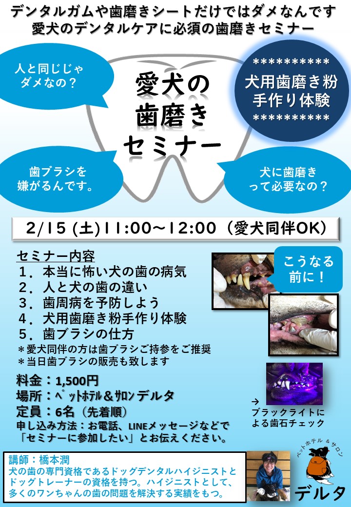 【2/15(土)愛犬の歯磨きセミナー】開催