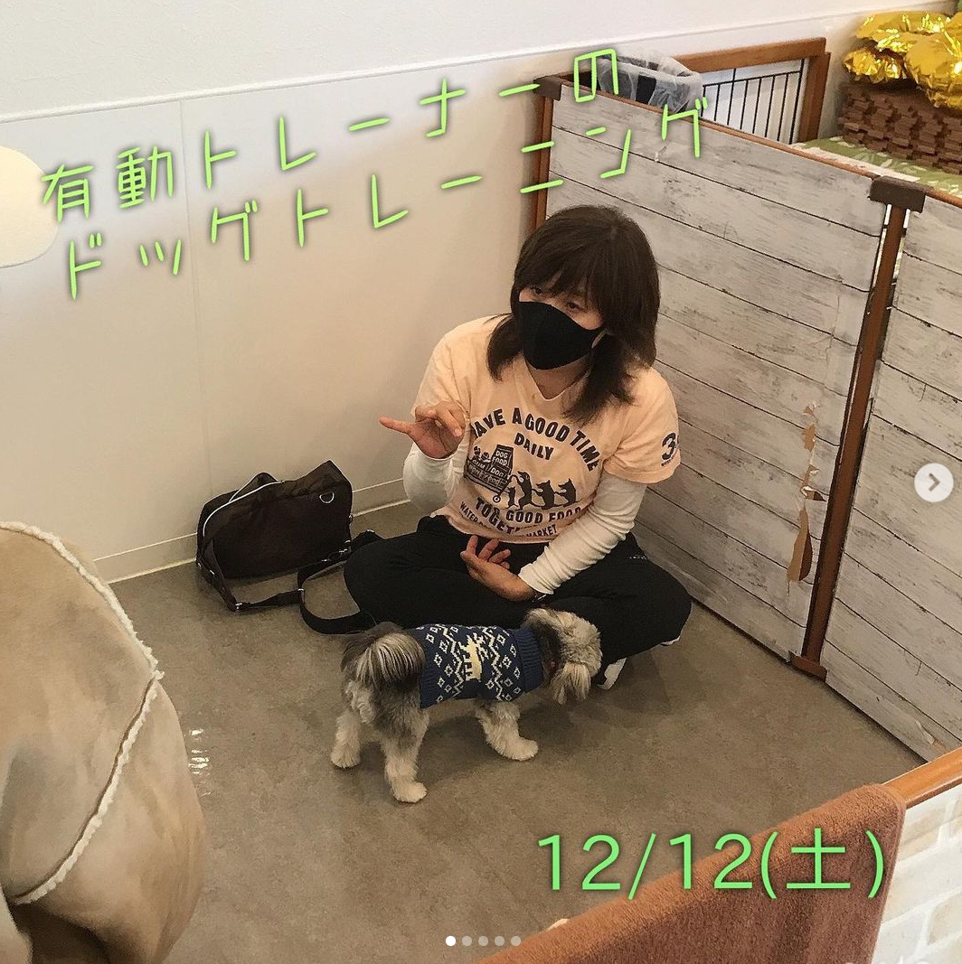 【12/12㈯】ドッグトレーニング開催