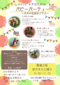 パピーパーティー社会化クラスのチラシ