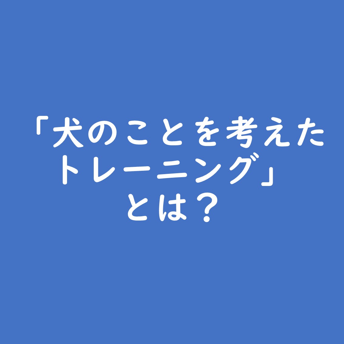 「犬のことを考えたトレーニング」とは