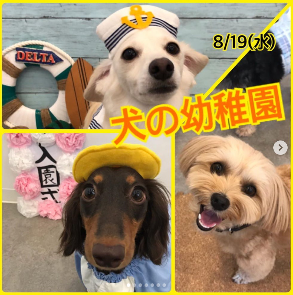 【8/19㈬】犬の幼稚園　開催