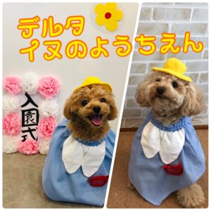 犬の幼稚園_20年6月7日