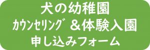 犬の幼稚園＿申し込みフォーム